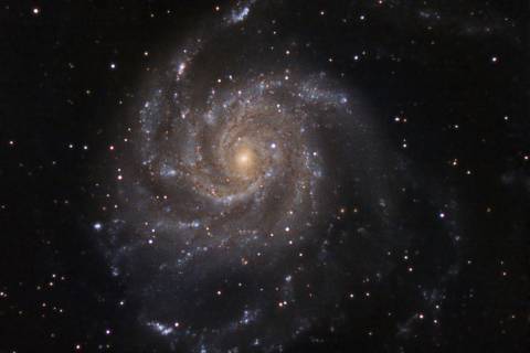 Fotografía de José Garrigós, en la web de ASAC, de la galaxia Molinete (M101).