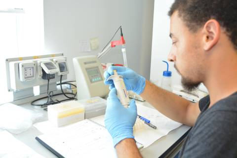 Imagen de archivo de un joven investigador en un laboratorio de la UPCT.