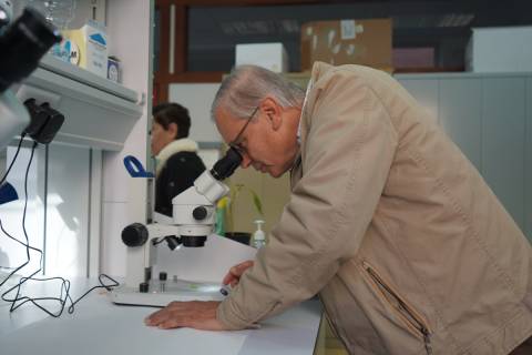 Uno de los alumnos observando ejemplares de mosca blanca.