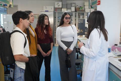 Los cuatro estudiantes con beca Carolina en uno de los laboratorios de la UPCT.