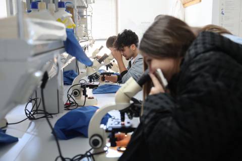 Estudiantes observando al microscopio semen de gallo.