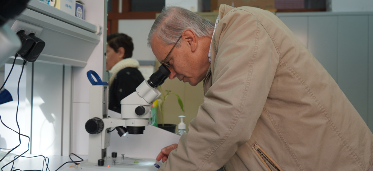 Aproximación microscópica a las plagas: estudiantes de la Universidad de Mayores hacen una práctica en laboratorio sobre protección de cultivos