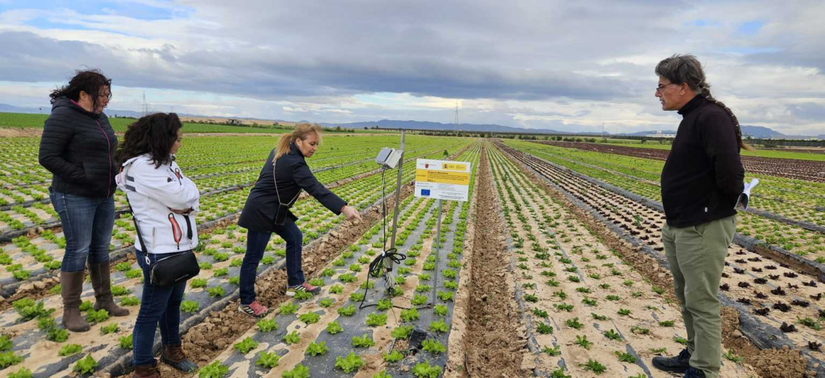 La UPCT participa en el proyecto Nitrosfera para utilizar microorganismos en la fertilización agrícola