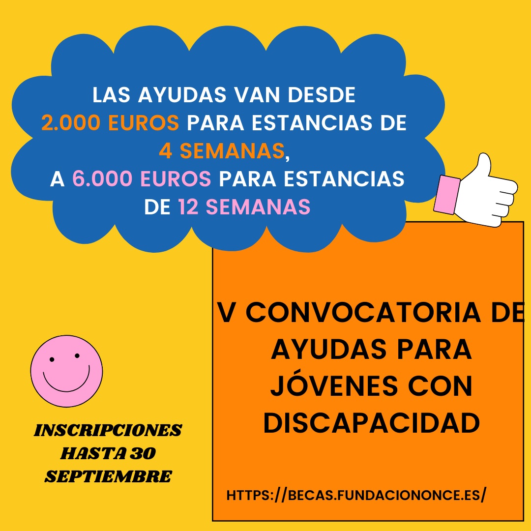 V Convocatoria De Ayudas Para JÃ³venes Con Discapacidad. Unidad De ...